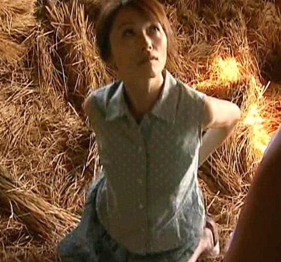 ヘンリー塚本人生は官能小説のように納屋